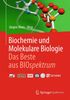 Biochemie und molekulare Biologie - Das Beste aus BIOspektrum, Buch