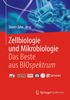 Zellbiologie und Mikrobiologie - Das Beste aus BIOspektrum, Buch