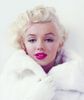 Milton H. Greene: Milton's Marilyn, Buch