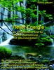 Helmut Geppert: Heiler-Energie, Buch