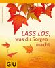 Sigrid Engelbrecht: Lass' los, was dir Sorgen macht!, Buch