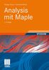 Rüdiger Braun: Analysis mit Maple, Buch