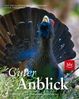 Guter Anblick, Buch