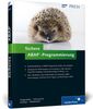 Markus Schumacher: Sichere ABAP-Programmierung, Buch