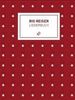 Rio Reiser Liederbuch, Buch
