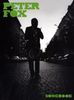 Peter Fox Songbook, Buch