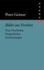 Peter Geimer: Bilder aus Versehen, Buch