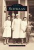 Heiko Brunner: Schwaan, Buch