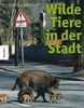 Florian Möllers: Wilde Tiere in der Stadt, Buch