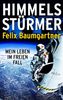 Felix Baumgartner: Himmelsstürmer, Buch