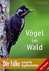 Waldvögel, Buch