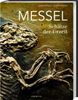 Messel, Buch