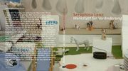 Seraphina Lenz: Seraphina Lenz. Werkstatt für Veränderung, Buch