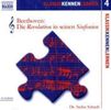 Stefan Schaub: Beethoven, Die Revolution in seinen Sinfonien, 1 Audio-CD, CD