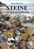 Rolf Reinicke: Steine am Ostseestrand, Diverse