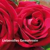 Abhayada: Liebevolles Gewahrsein. CD, CD