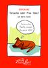 Barry Eaton: Dominanz - Tatsache oder fixe Idee, Buch