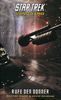 Dayton Ward: Star Trek - Vanguard 02, Buch