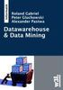 Roland Gabriel: Datawarehouse & Data Mining, Buch