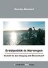 Henrike Allendorf: Erdölpolitik in Norwegen, Buch