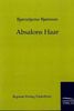 Bjørnstjerne Bjørnson: Absalons Haar, Buch
