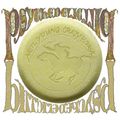 Neil Young &amp; Crazy Horse: Psychedelic Pill, 2 CDs