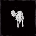 Sigur Ros: Kveikur (2LP + 10" + CD) (Limited Deluxe Edition), 2 LPs