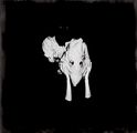 Sigur Ros: Kveikur (2LP + CD), 2 LPs