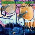 Kommando Sonne-Nmilch: You Pay I Fuck, LP