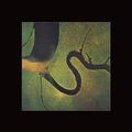 Dead Can Dance: The Serpents Egg, LP