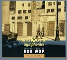 Street Corner Symphonies: The Complete Story of Doo Wop, Volume 15 - 1963, CD