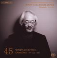 Johann Sebastian Bach (1685-1750): Kantaten Vol.45 (BIS-Edition), SACD