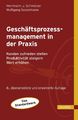 Hermann J. Schmelzer; Wolfgang Sesselmann: Geschäftsprozessmanagement in der Praxis, Buch