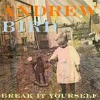 Andrew Bird: Break It Yourself, CD