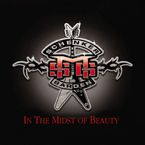 Michael Schenker: In The Midst Of Beauty, CD