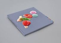 Peter Gabriel: New Blood: Live In London, Blu-ray Disc
