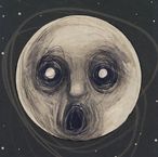 Steven Wilson: The Raven That Refused To Sing (180g) (Limited Edition), 2 LPs