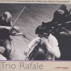 Johannes Brahms (1833-1897): Klaviertrio Nr.3 op.101, CD
