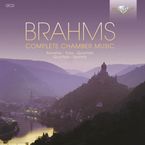 Johannes Brahms (1833-1897): Kammermusik (Gesamt-Aufnahme), 12 CDs