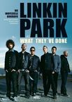 Michael Fuchs-Gamböck: Linkin Park - What they've done, Buch
