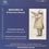 Johannes Brahms (1833-1897): Brahms III - Sinfonische Klassik, SACD