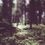 Helge Lien  (geb. 1975): Hello Troll, CD