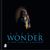 Stevie Wonder: At The Close Of A Century (4 CDs im gebundenen earBOOK), 4 CDs