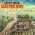 Levon Helm: Electric Dirt, CD