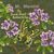 Mr. Morning: The Sweet Scent Of Butterflying, CD