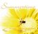 Various Artists: Summertime, 2 CDs