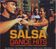 Various Artists: Salsa Dance Hits, 2 CDs