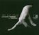 Francois Couperin (1668-1733): Klavierwerke - 