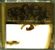 Nodes Of Ranvier: Lost Senses More Innocence, CD