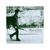 Willie Nile: Streets Of New York, CD